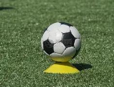 全运会,大湾区,活力鸡,星空体育平台,星空体育官方网站,星空体育登录入口,星空体育app下载