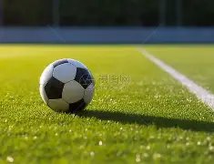 纽卡,战平热刺,罗梅罗双响,星空体育平台,星空体育官方网站,星空体育登录入口,星空体育app下载